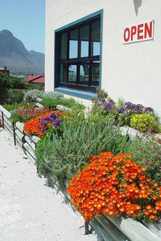Bettyʼs Bay Jack'S Seaview Inn المظهر الخارجي الصورة